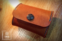 Coins Case 2