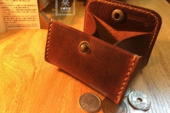 Coins Case 3