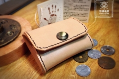 Coins Case 5