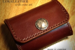 Coins Case 9