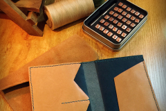 PassportHolder Sarah3